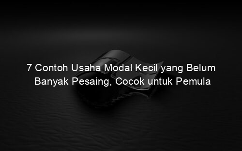 7 Contoh Usaha Modal Kecil yang Belum Banyak Pesaing, Cocok untuk Pemula