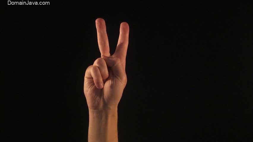 Contoh Bahasa Isyarat Tangan dan Artinya