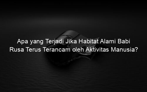 Apa yang Terjadi Jika Habitat Alami Babi Rusa Terus Terancam oleh Aktivitas Manusia?