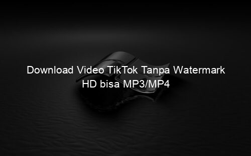 Download Video TikTok Tanpa Watermark HD bisa MP3/MP4