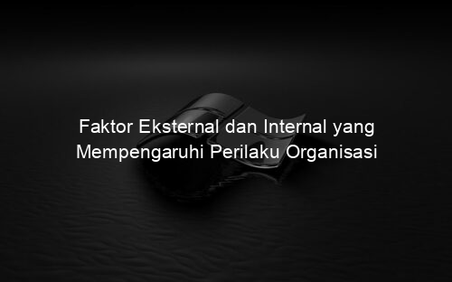 Faktor Eksternal dan Internal yang Mempengaruhi Perilaku Organisasi