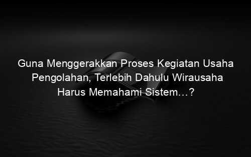 Guna Menggerakkan Proses Kegiatan Usaha Pengolahan, Terlebih Dahulu Wirausaha Harus Memahami Sistem…?