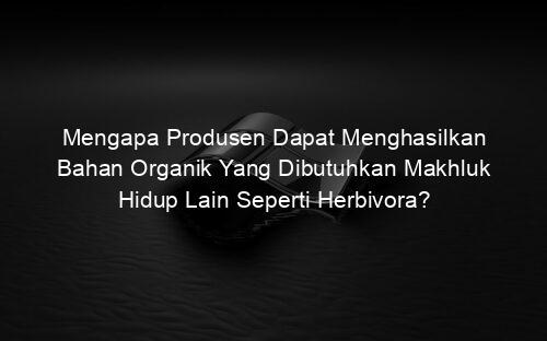 Mengapa Produsen Dapat Menghasilkan Bahan Organik Yang Dibutuhkan Makhluk Hidup Lain Seperti Herbivora?