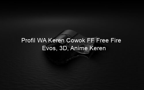Profil WA Keren Cowok FF Free Fire Evos, 3D, Anime Keren