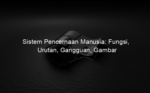 Sistem Pencernaan Manusia: Fungsi, Urutan, Gangguan, Gambar