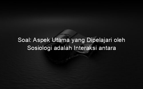 Soal: Aspek Utama yang Dipelajari oleh Sosiologi adalah Interaksi antara