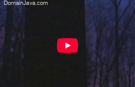 Arti dan Makna Lirik Lagu Not a lot, just forever – Adrianne Lenker