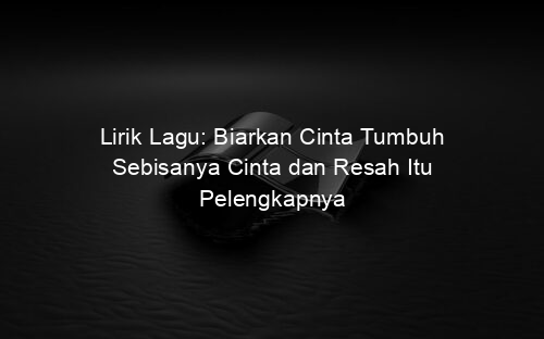 Lirik Lagu: Biarkan Cinta Tumbuh Sebisanya Cinta dan Resah Itu Pelengkapnya