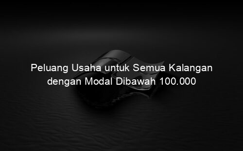 Peluang Usaha untuk Semua Kalangan dengan Modal Dibawah 100.000