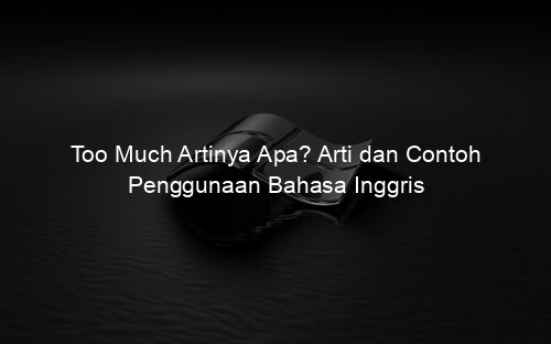 Too Much Artinya Apa? Arti dan Contoh Penggunaan Bahasa Inggris