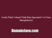 Kuota Tiktok Indosat Tidak Bisa digunakan? ini Cara Mengatasinya