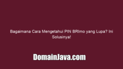 Bagaimana Cara Mengetahui PIN BRImo yang Lupa? Ini Solusinya!