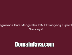 Bagaimana Cara Mengetahui PIN BRImo yang Lupa? Ini Solusinya!
