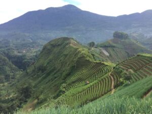 20 Tempat Wisata Majalengka yang Hits dan Rekomen Untuk Dikunjungi!