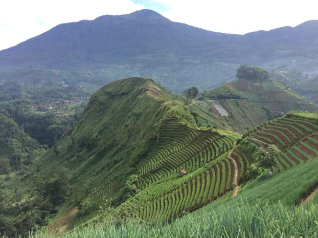 20 Tempat Wisata Majalengka yang Hits dan Rekomen Untuk Dikunjungi!