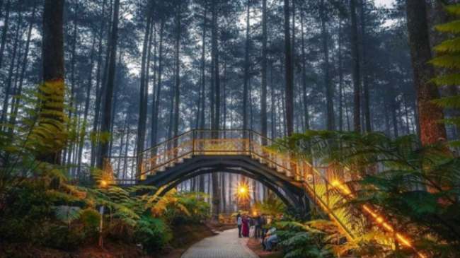 14 Wisata Bandung Lembang Terbaik dan Terbaru Update!