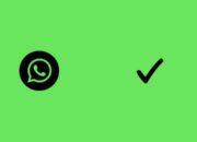 5 Cara Agar WhatsApp Centang 1 Saja Padahal Lagi Online