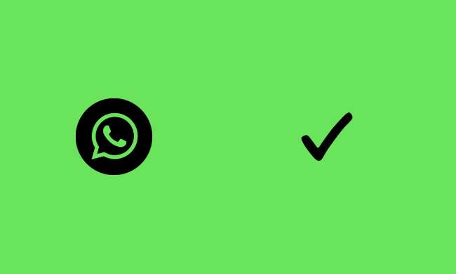 5 Cara Agar WhatsApp Centang 1 Saja Padahal Lagi Online