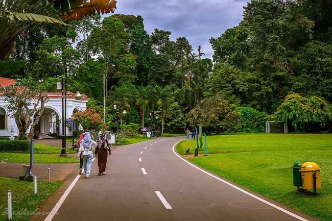 Kebun Raya Bogor