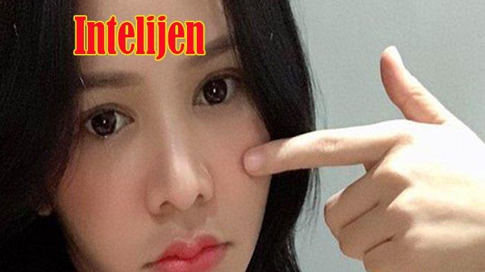 Mengenal Apa Itu Intel