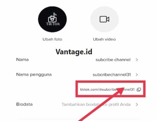 Tata -Cara-Salin-Link-Tiktok-Orang-Lain-Terbaru