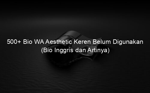 500+ Bio WA Aesthetic Keren Belum Digunakan (Bio Inggris dan Artinya)