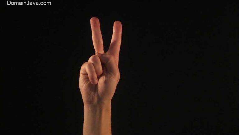 Contoh Bahasa Isyarat Tangan dan Artinya