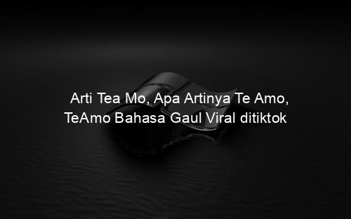 Arti Tea Mo, Apa Artinya Te Amo, TeAmo Bahasa Gaul Viral ditiktok
