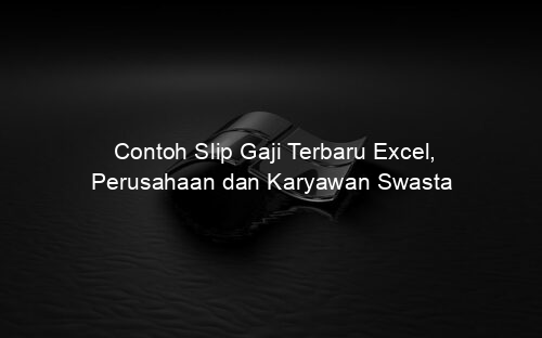 Contoh Slip Gaji Terbaru Excel, Perusahaan dan Karyawan Swasta