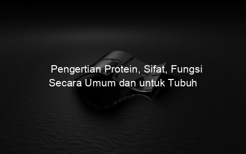 Pengertian Protein, Sifat, Fungsi Secara Umum dan untuk Tubuh