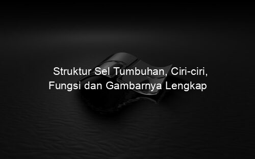 Struktur Sel Tumbuhan, Ciri ciri, Fungsi dan Gambarnya Lengkap