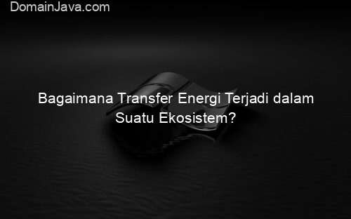 Bagaimana Transfer Energi Terjadi dalam Suatu Ekosistem?