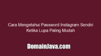 Cara Mengetahui Password Instagram Sendiri Ketika Lupa Paling Mudah