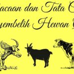 Doa Menyembelih Hewan Kurban Dan Tata Cara Menyembelih
