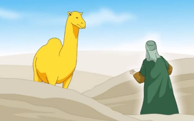 Doa Nabi Saleh Dalam Al-Qur’an : Ini Kisah dan Mukjizatnya