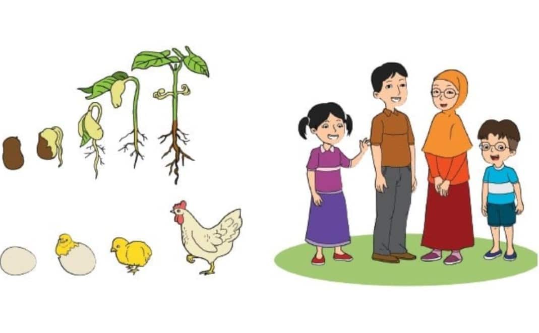 penjelasan-ciri-ciri-makhluk-hidup,-bernapas-hingga-beradaptasi