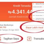 Telat Bayar Shopee PayLater? Ini Besaran Denda dan Akibatnya