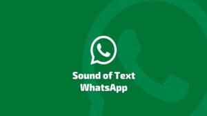 Sound of Text WA: Aplikasi Mengubah Teks Menjadi Suara