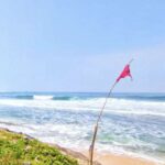 Pantai Nyawiji Pacitan: Lokasi/Rute dan Daya Tarik Wisata