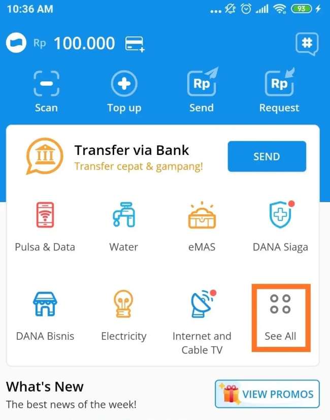cara-dapat-saldo-dana-100-ribu-gratis-tanpa-modal-(berhasil)