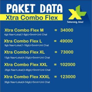 Daftar Harga Paket Data XL Terbaru dan Informasi Bonusnya