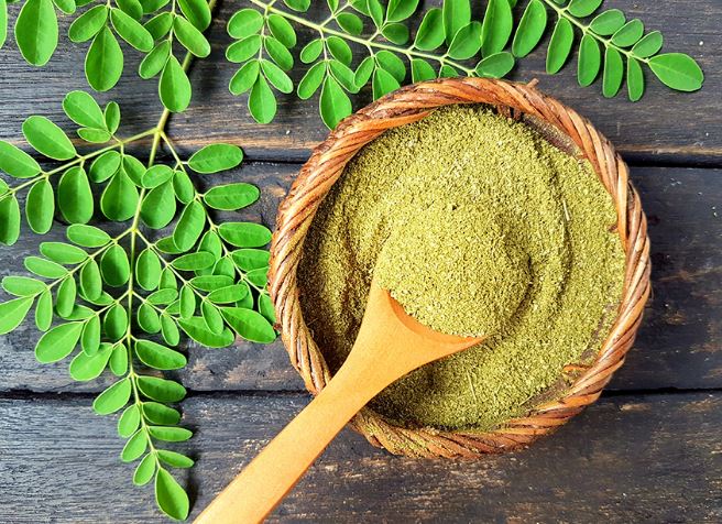 10-manfaat-daun-kelor-untuk-kesehatan-dan-kecantikan