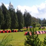 Mandalawangi Camping Ground: Lokasi, Jam Buka dan HTM