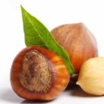 Apa Saja Makanan Penurun Kolestrol Paling Ampuh dan Aman