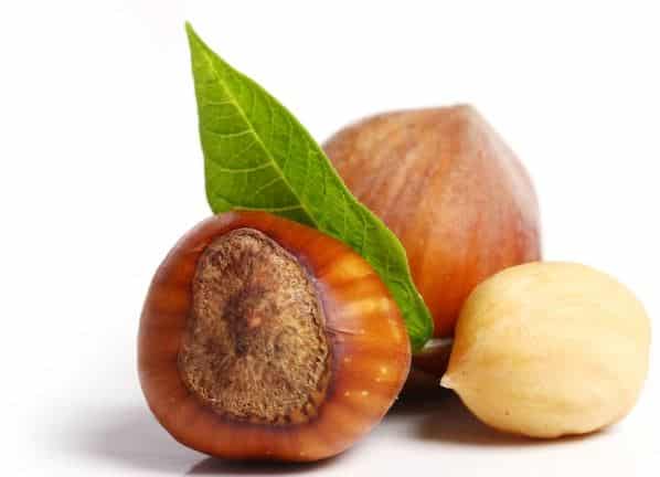 apa-saja-makanan-penurun-kolestrol-paling-ampuh-dan-aman