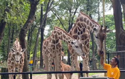 6 Destinasi Wisata Satwa di Jakarta untuk Liburan Akhir Pekan Bersama Keluarga