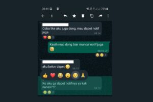 Cara React di WhatsApp Untuk Mencoba Fitur Reactions Emoji WA