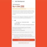 Cara Bayar Shopee via SMS Banking BRI, Mandiri, BNI, BCA, dll