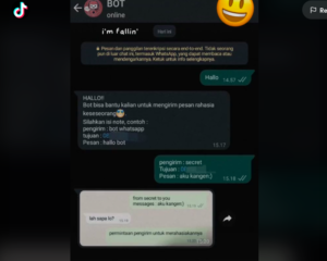 Link Bot Confess WA Asli Viral di TikTok, Berikut Cara Pakainya