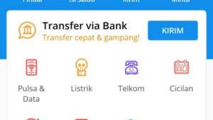 Cara Transfer DANA ke OVO atau OVO ke DANA 2026 | Paulipu